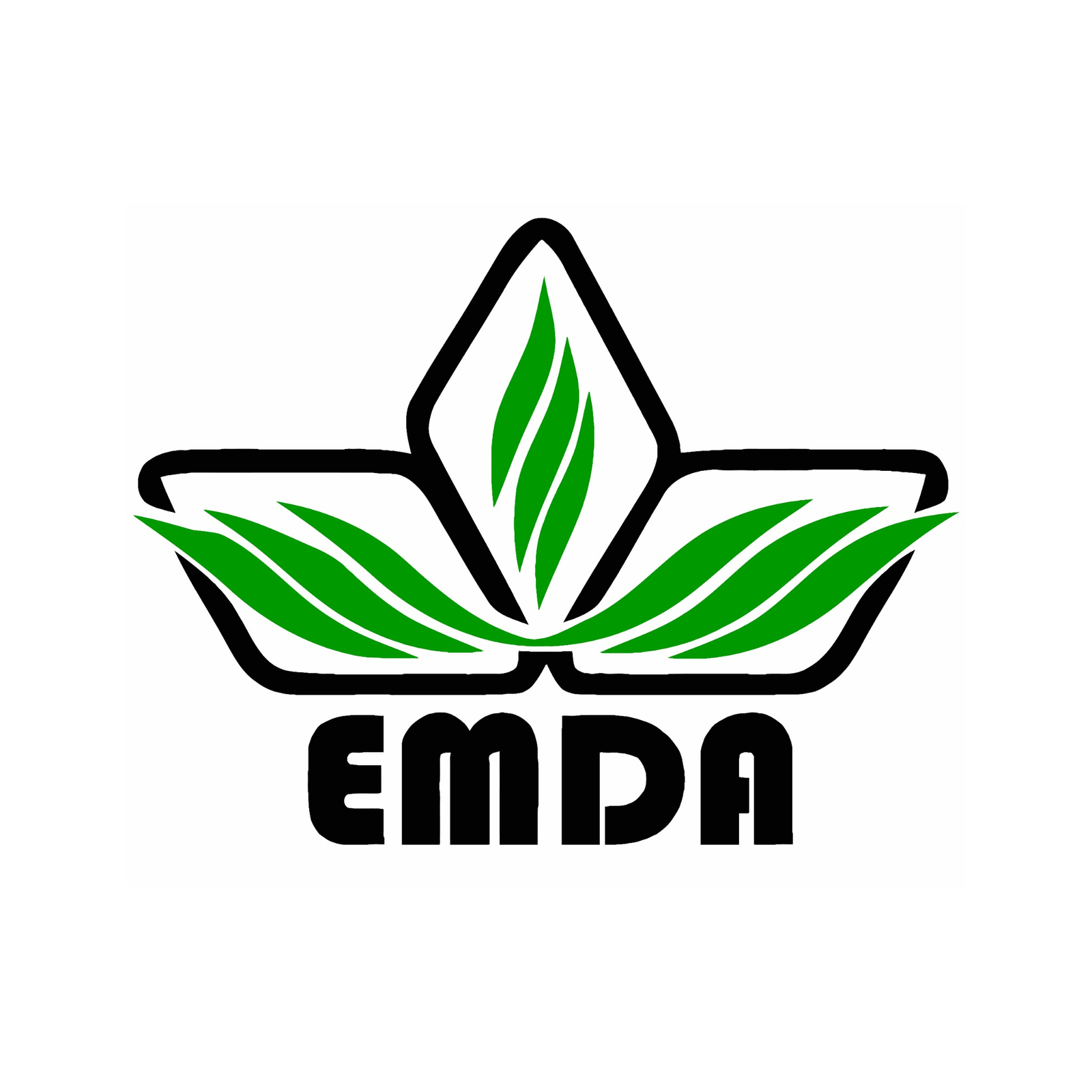 EMDA_logo3